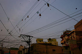 Rajasthan