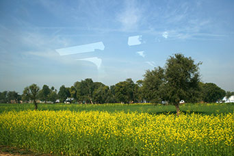 Rajasthan
