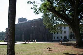 Goa
