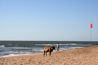 Goa