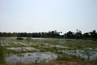 Goa