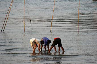 Goa