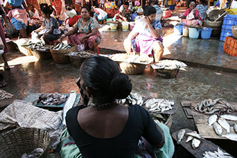 Goa