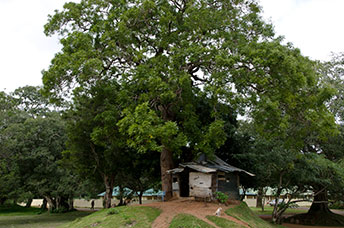 Sri Lanka