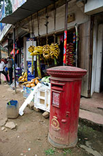 Sri Lanka