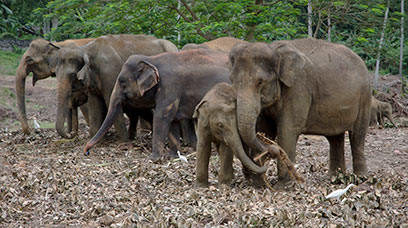 Sri Lanka