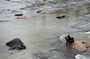 Sri Lanka