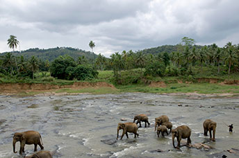 Sri Lanka