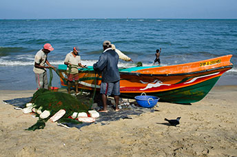 Sri Lanka