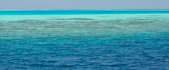 Maldive