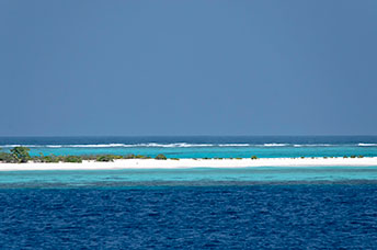 Maldive