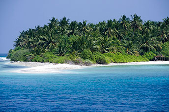 Maldive