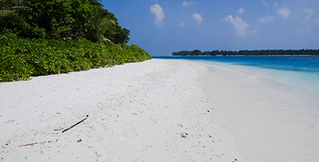 Maldive
