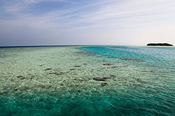 Maldive