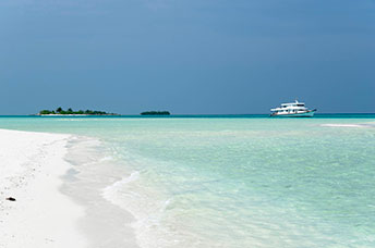 Maldive