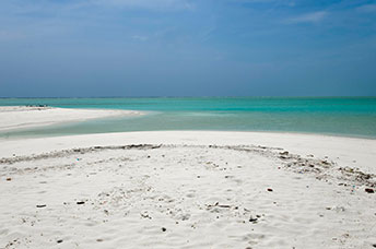 Maldive