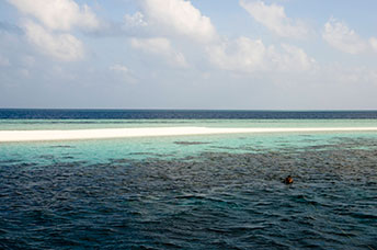 Maldive