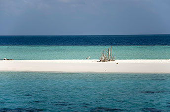Maldive