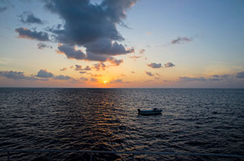 Maldive