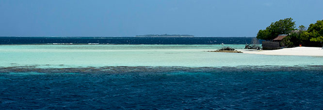 Maldive