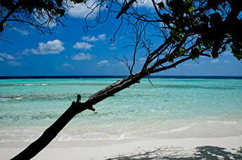 Maldive
