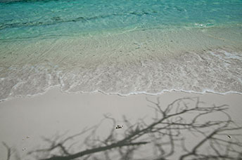 Maldive