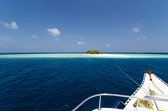 Maldive