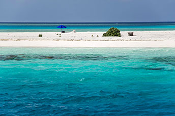 Maldive