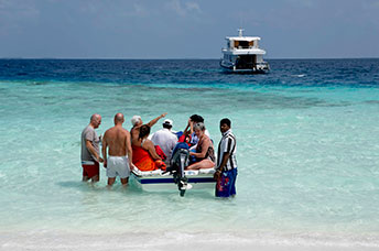 Maldive