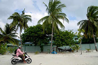 Maldive