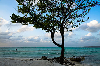 Maldive