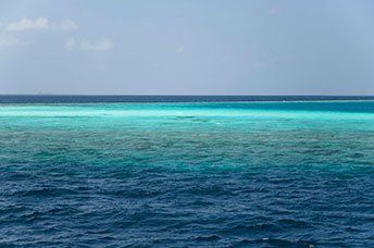 Maldive