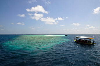 Maldive