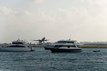 Maldive
