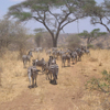 Tanzania