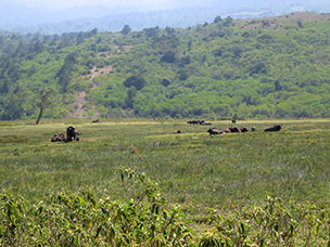 Tanzania