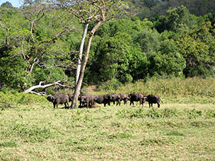 Tanzania