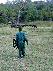 Tanzania