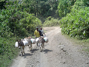 Tanzania
