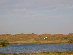 Tanzania