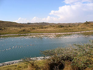 Tanzania