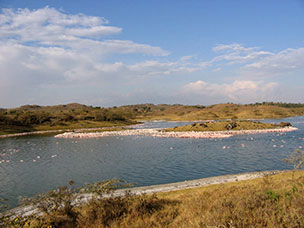 Tanzania