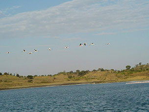 Tanzania