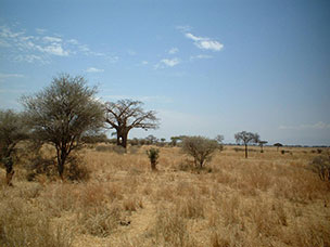 Tanzania
