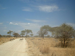 Tanzania