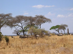 Tanzania