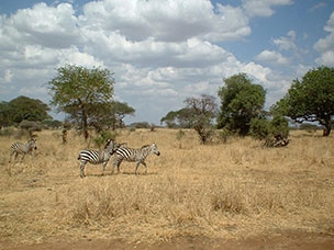 Tanzania