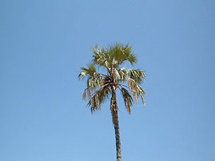 Tanzania