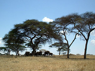 Tanzania