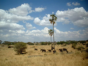 Tanzania